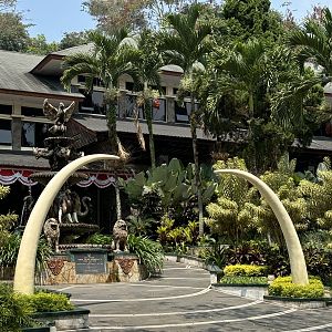 Baobab Safari Resort - fantastic!