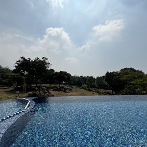 Infinity Pool - Baobab Safari Resort