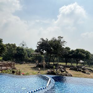 Infinity Pool - Baobab Safari Resort