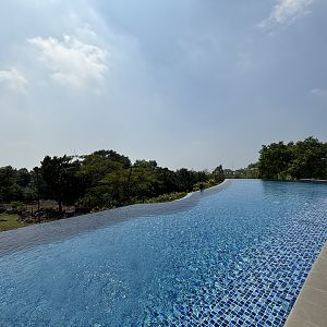 Infinity Pool - Baobab Safari Resort