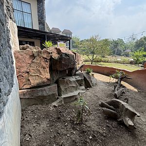 Meerkat Exhibit - Baobab Safari Resort