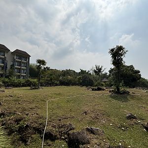 African Savanna - Baobab Safari Resort