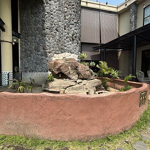 Meerkat Exhibit - Baobab Safari Resort