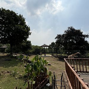 African Savanna - Baobab Safari Resort