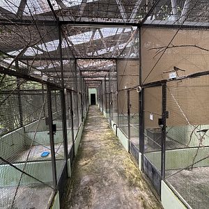 Prigen Conservation Breeding Ark