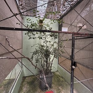 Prigen Conservation Breeding Ark