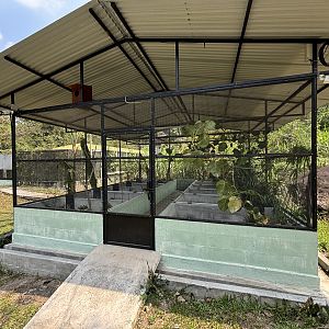 Prigen Conservation Breeding Ark