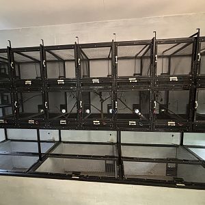 Prigen Conservation Breeding Ark