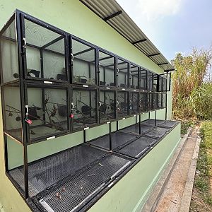 Prigen Conservation Breeding Ark