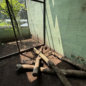 Sumatran Striped Rabbit Exhibit - Prigen Conservation Breeding Ark