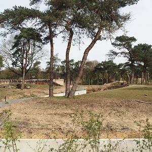 Parts of African bush elephant valley and Spotted hyena exhibit, 2024-04-06