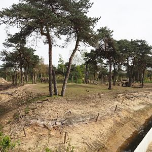 African bush elephant valley with elephants, Defassa waterbuck and Nile lechwes, 2024-04-06