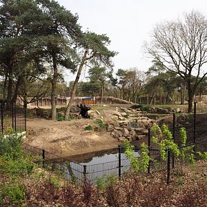 Spotted hyena exhibit, 2024-04-06