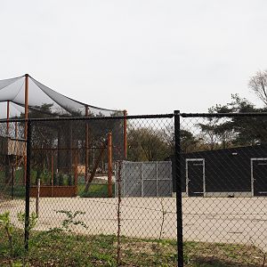 Holding aviaries and holding building for Secretary bird and Vulture aviary, 2024-04-06