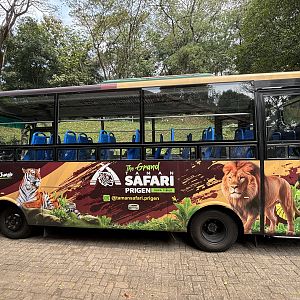 Safari Bus
