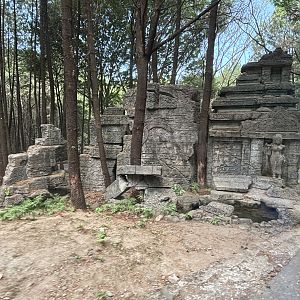 Safari - Ruined Temple