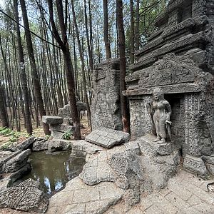 Safari - Ruined Temple