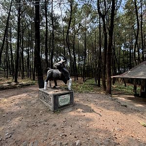 Safari - Asian Hoofstock Zone