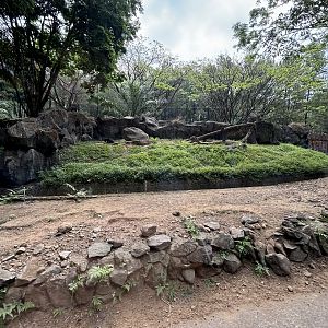 Safari - Sun Bear Exhibit #1