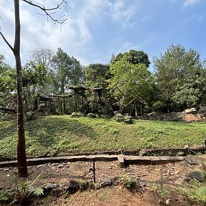 Safari - Leopard Exhibit