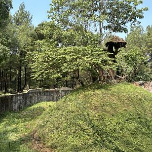 Safari - Leopard Exhibit
