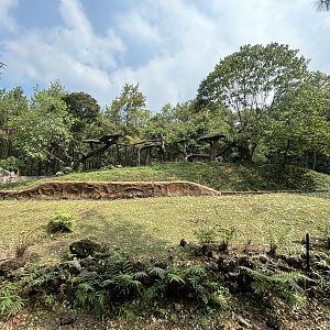 Safari - Leopard Exhibit