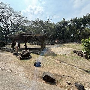 Safari - Pet an Elephant!