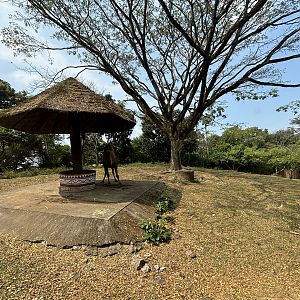 Safari - Dromedary Exhibit