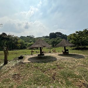 Safari - African Savanna