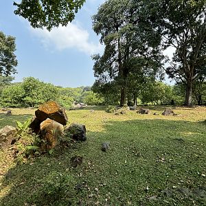 Safari - African Savanna