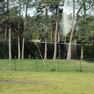 Okapi paddock and okapi house seen from the car safari, 2024-04-06