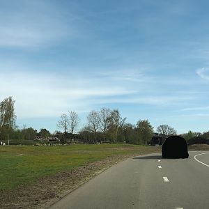 Car safari - Giraffe plains, 2024-04-06