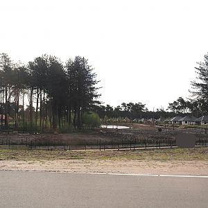 Safari resort savanna exhibit, 2024-04-06