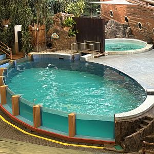 Dolphin + Sea Lion Pool