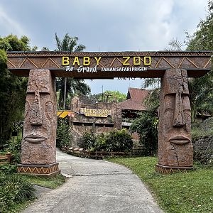 Baby Zoo = main walking zoo