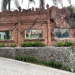 Tiger Exhibit (in restaurant)