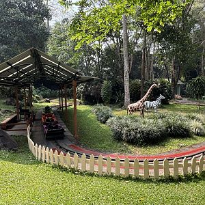 Kiddie Ride + Savanna Animal Statues