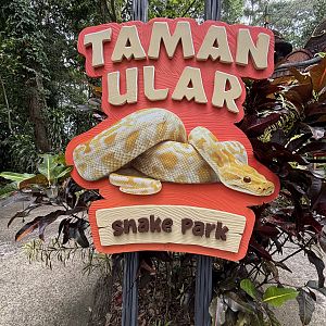 Walk-through Snake Habitat