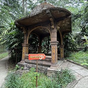 Walk-through Snake Habitat