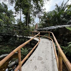 Walk-through Snake Habitat