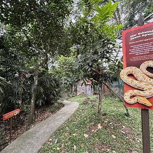 Walk-through Snake Habitat