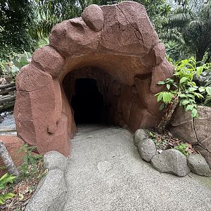 Reptile Park - cave entrance