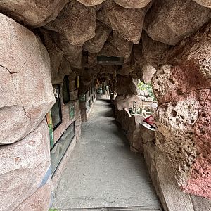 Reptile Park - cave zone #2