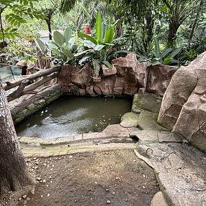 Pygmy Hippo Exhibit #1