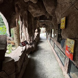 Reptile Park - cave zone