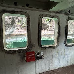 Small-clawed Otter Exhibit - Aquatic Land