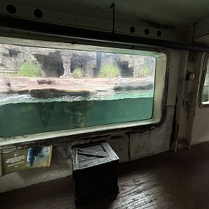 Harbour Seal Exhibit - Aquatic Land