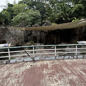 Humboldt Penguin Exhibit - Aquatic Land