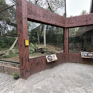 Striped Hyena Exhibit