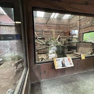 Serval Exhibits #1 + #2